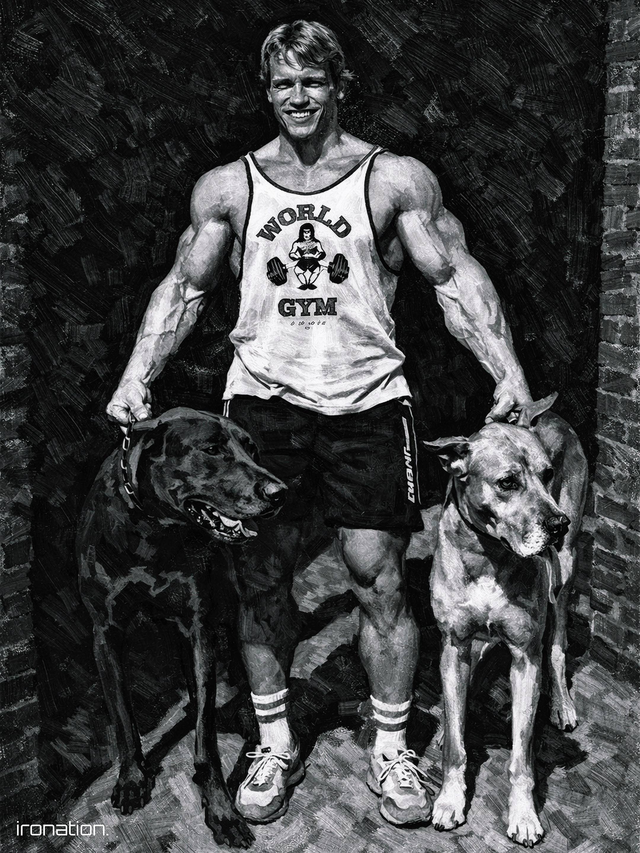 ARNOLDOGS